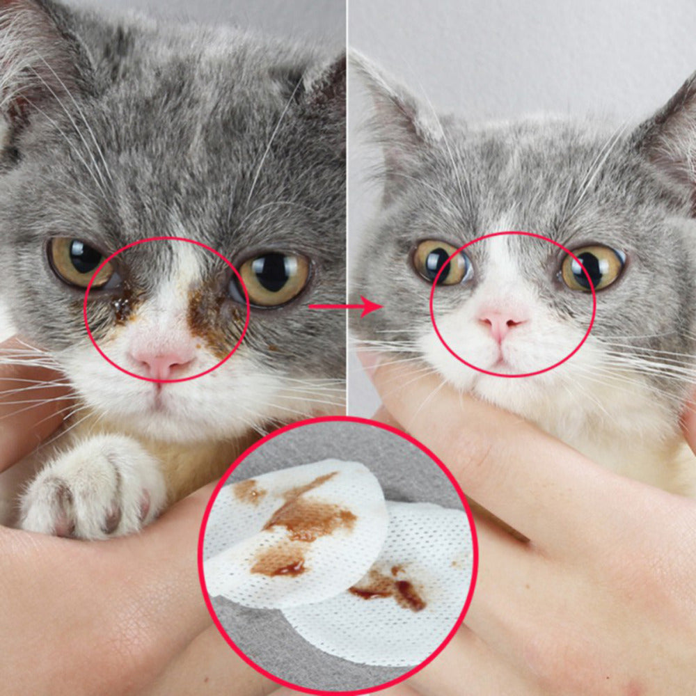 Gentle Pet Eye Cleaning Wipes for Dogs and Cats, Tear Stain Remover,